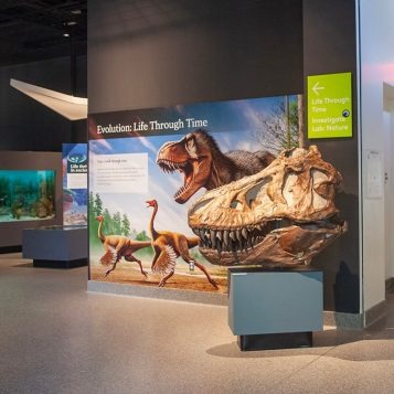 https://lsa.umich.edu/content/dam/ummnh-assets/ummnh-images/EvolutionGallery-Entrance-DynamicPlanet-MA-1107_750.jpg.transform/reg_square/image.jpg