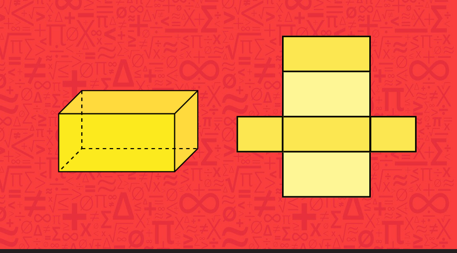A net design of a rectangular box with three pairs of congruent rectangles.