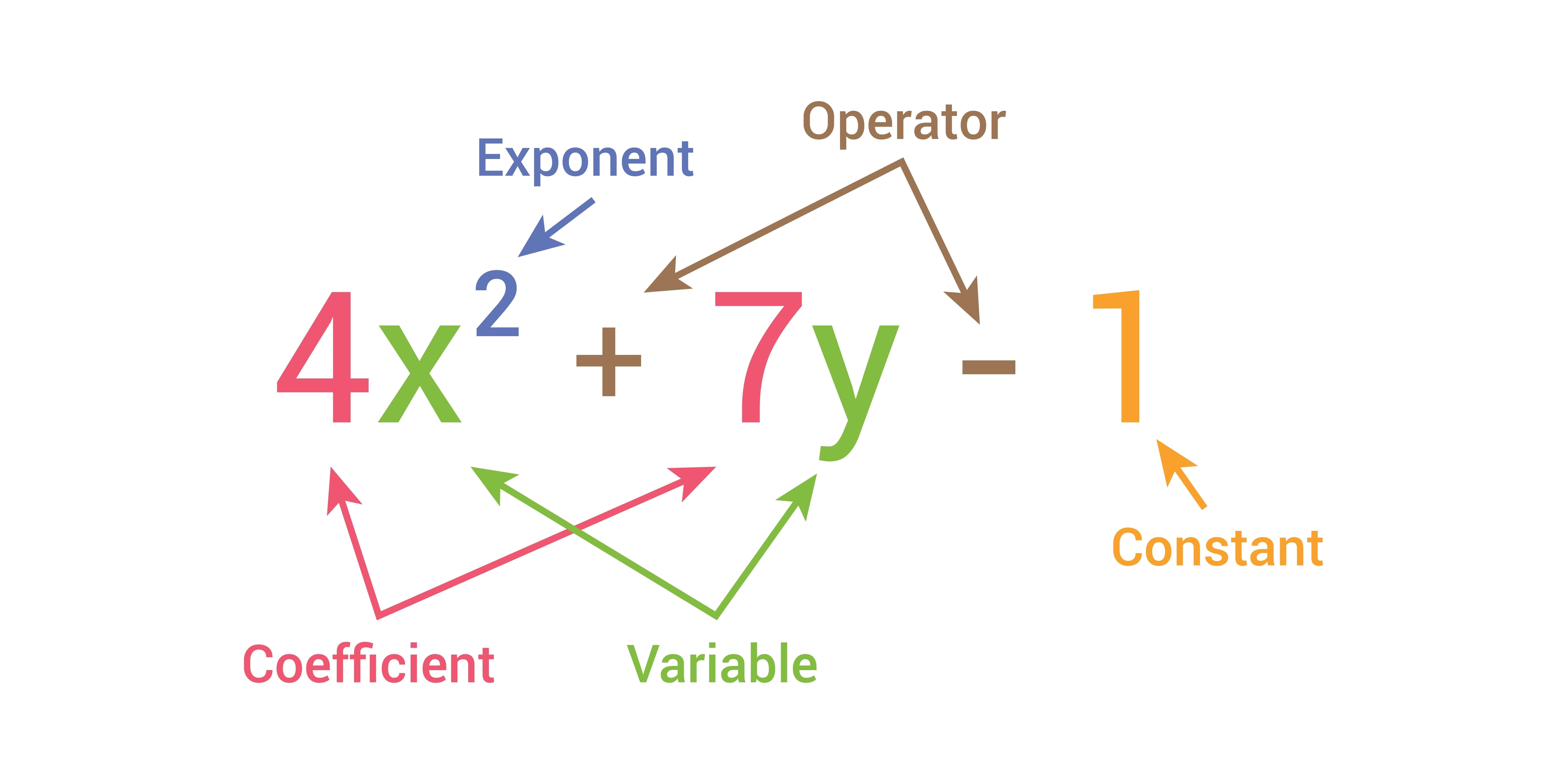 Polynomial explained in detail