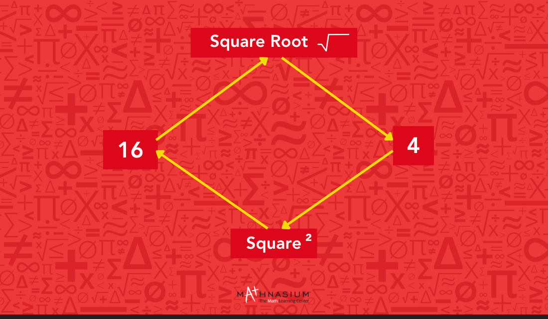 What Is a Square Root? A Complete Overview