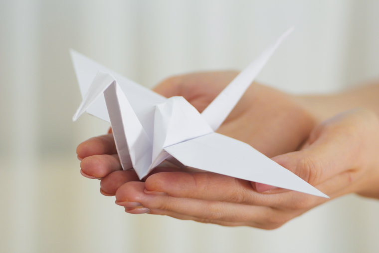 A math student holding an origami of a bird in his hand