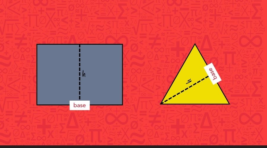 The bases in a rectangle and a triangle