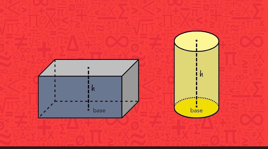 The bases in a prism and a cylinder