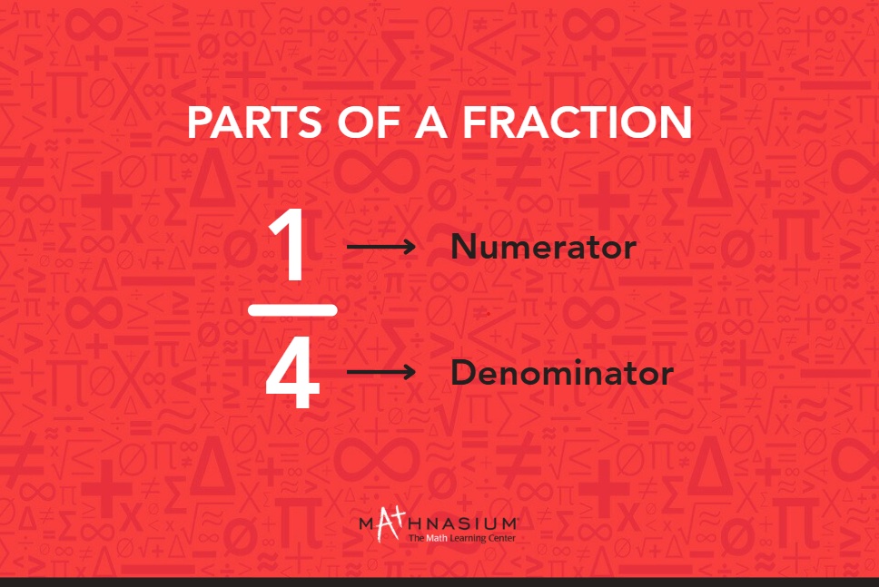 Parts of a fraction: the numerator and denominator.
