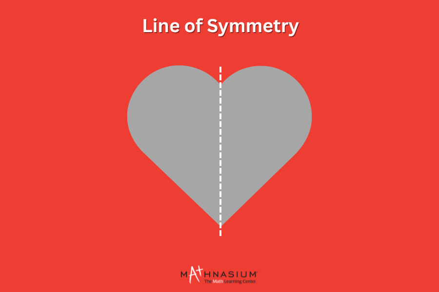 A real-life example of a line of symmetry