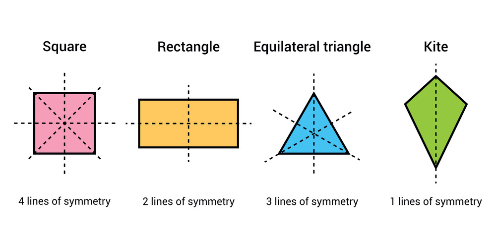 A real-life example of a line of symmetry