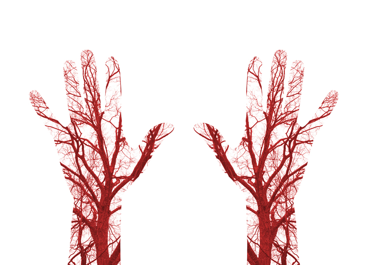 Double exposure illustration of human hands filled with branching blood vessels, showing a fractal pattern in the circulatory system