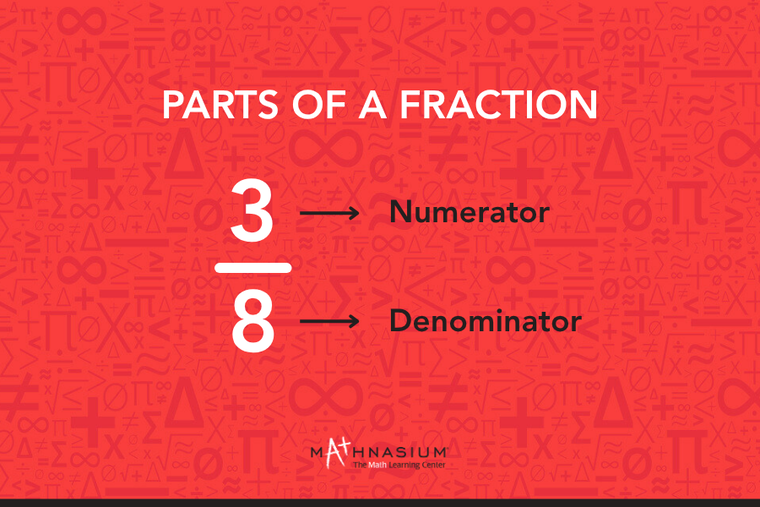 Parts of a fraction.