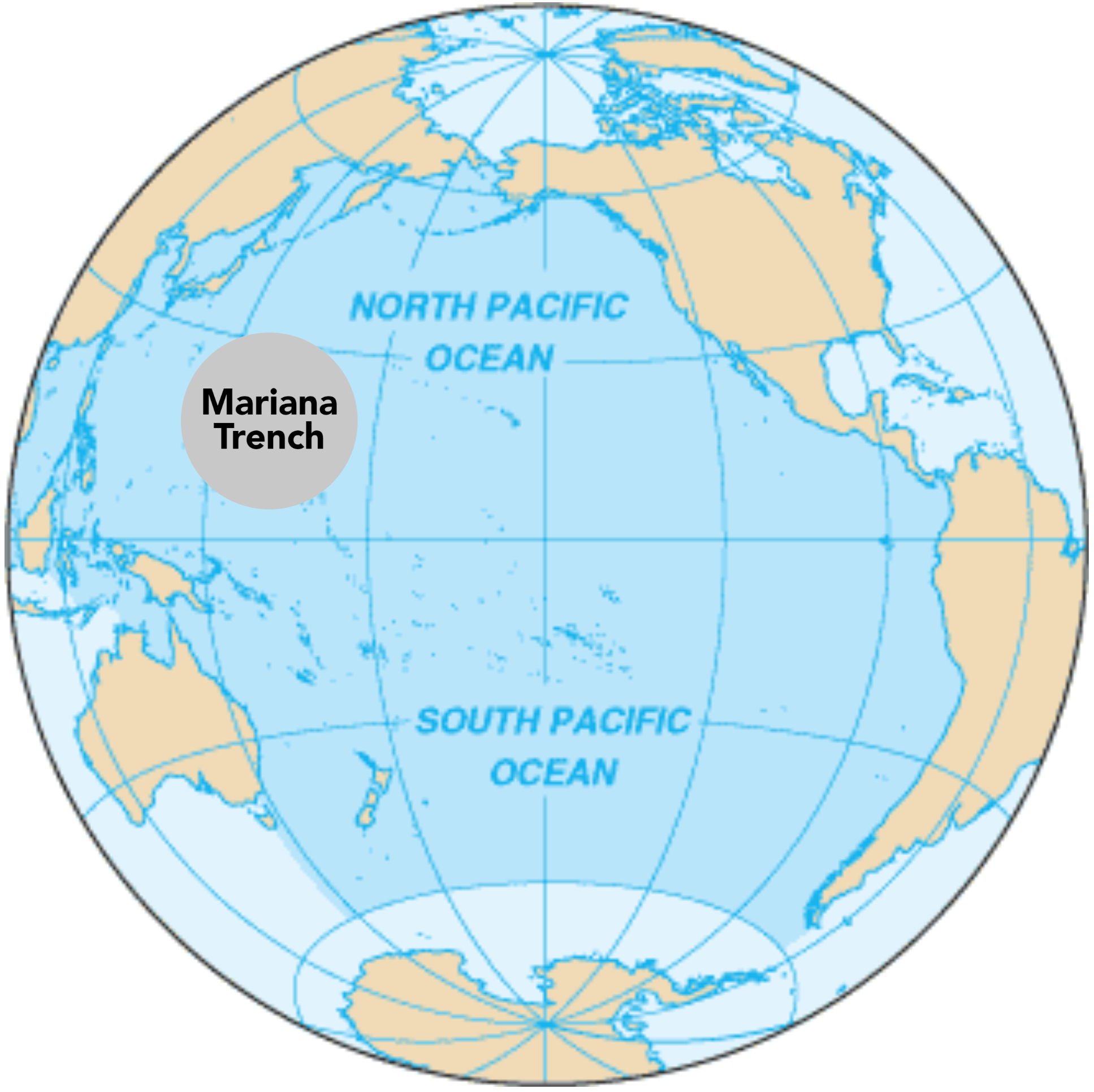 US_2022_NSB_Image_2_AskEducation3_d2.png