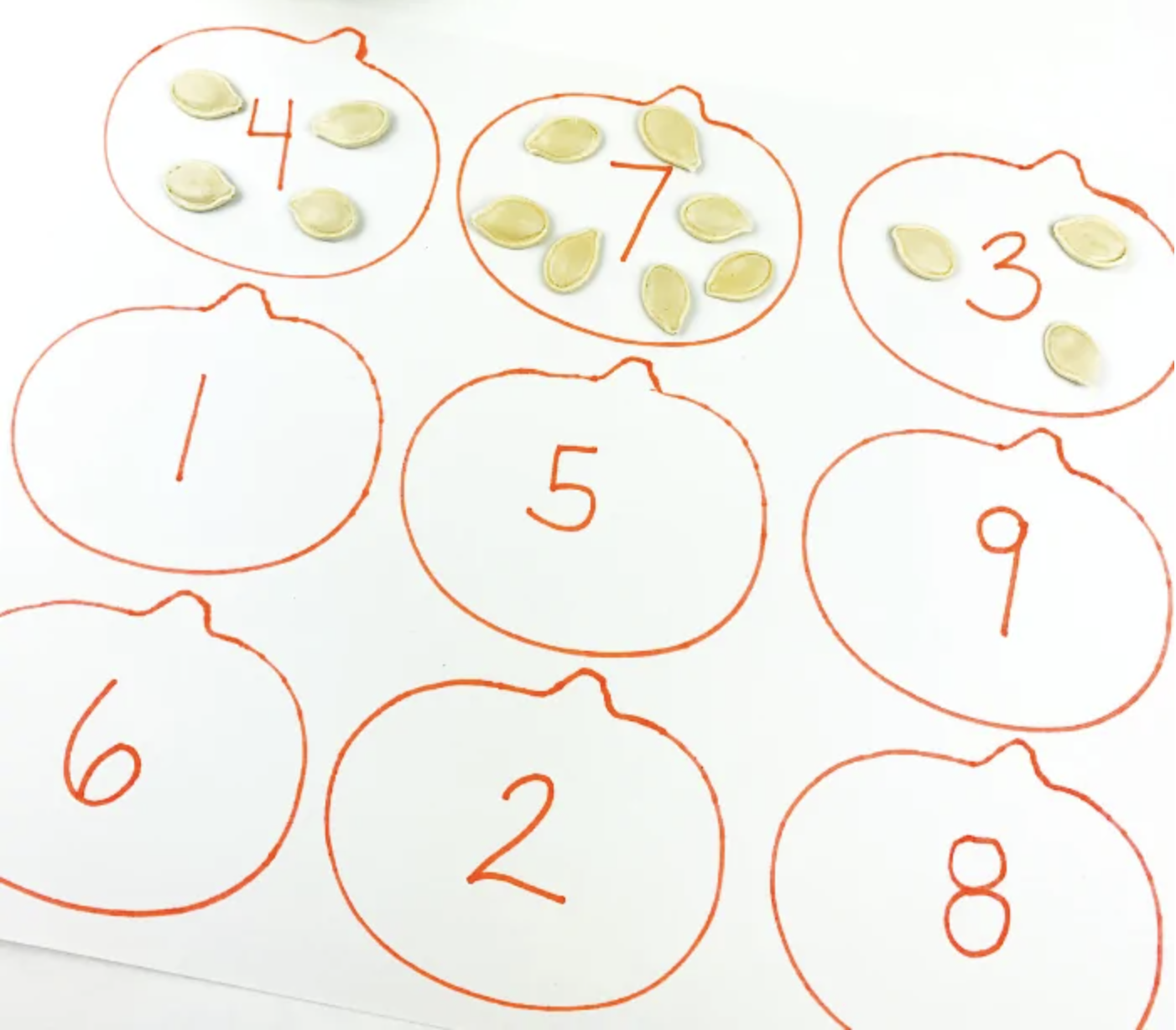 pumpkin-seed-counting.png