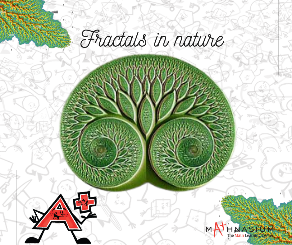 Amazing fractals found in nature