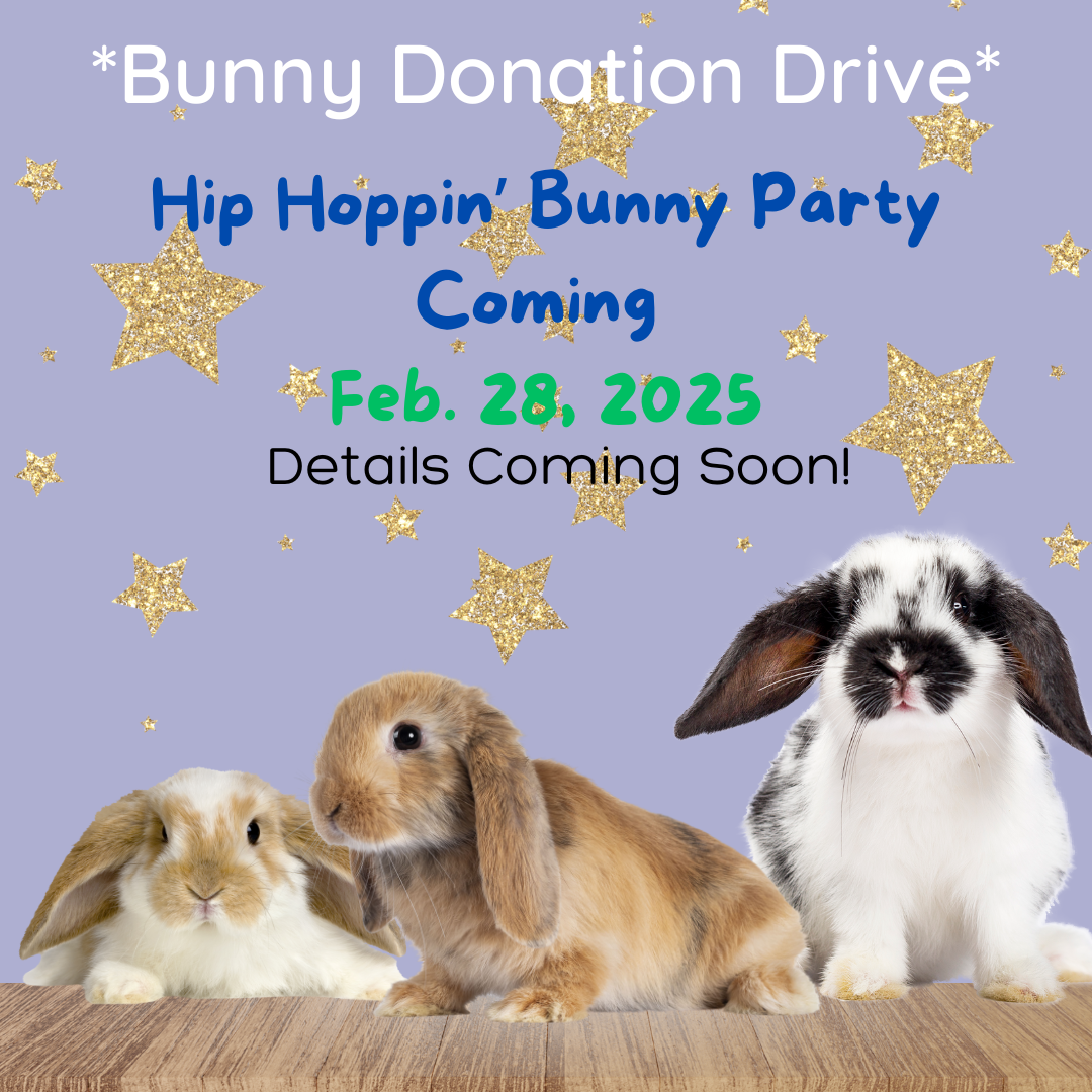 Bunny Party!!