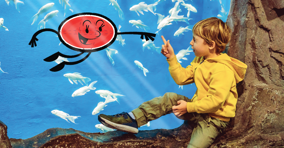 promotion featured image