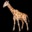 🦒